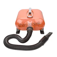 DHD-3000F двухмоторная выдувная машина для домашних животных, большая собака, золотистый ретривер, кошка, фен для домашних животных, для магазина домашних животных, специальный фен для волос 220 В