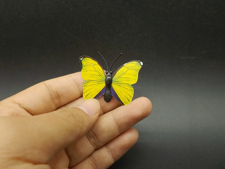 I259-Butterfly (1)
