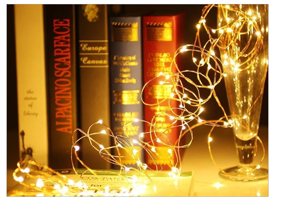 string lights (12)