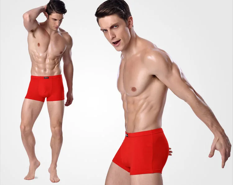 boxer men (7)