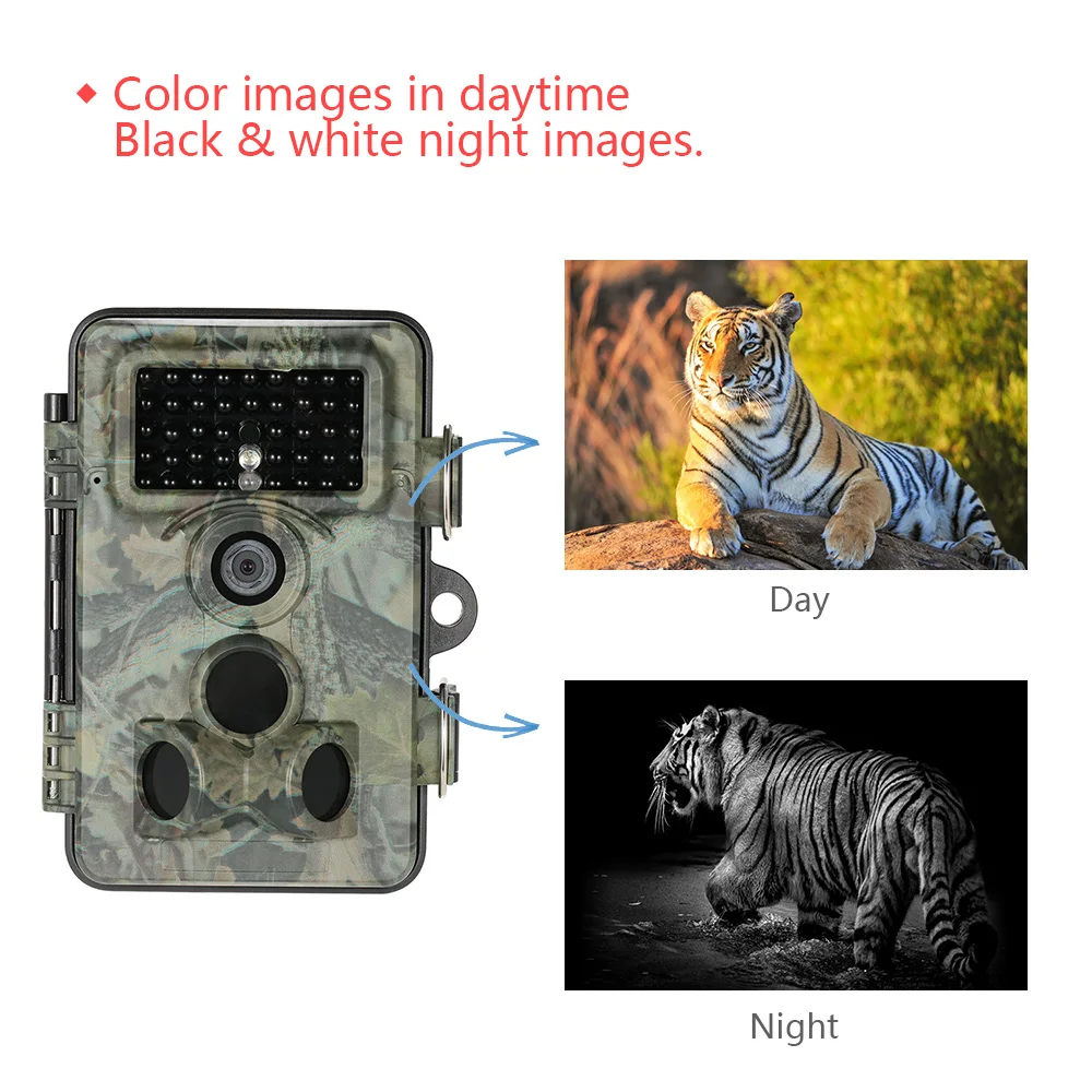 HTB1a7kaNFXXXXbgaFXXq6xXFXXXH