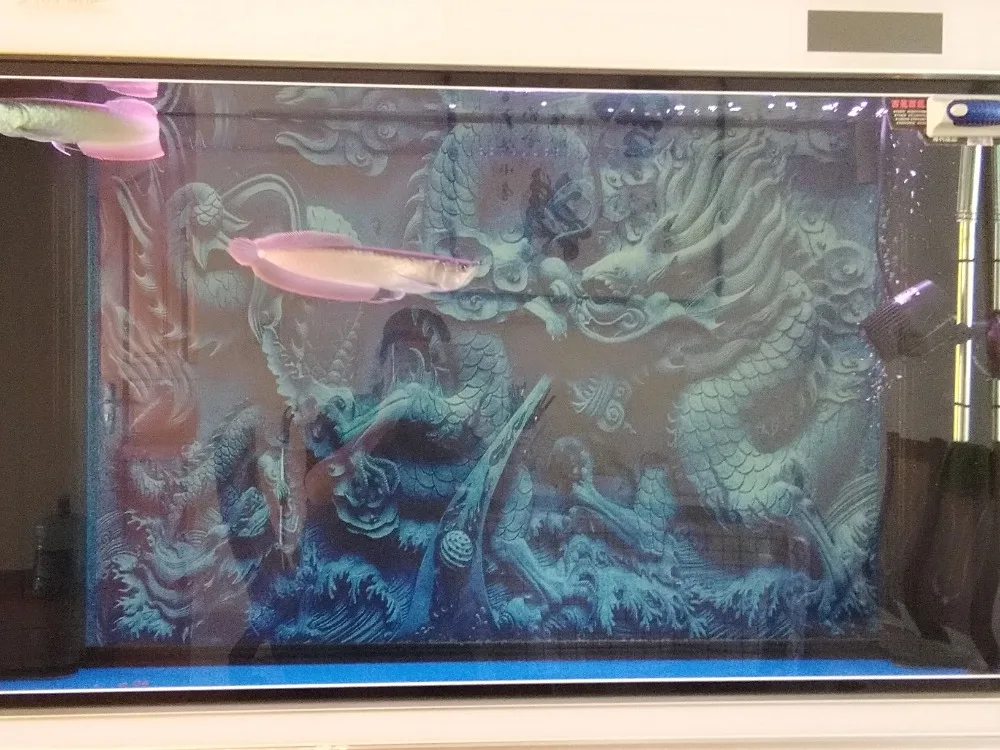 Китайский 3D Дракон Камея фон украшение аквариума плакат с клеем на поверхности