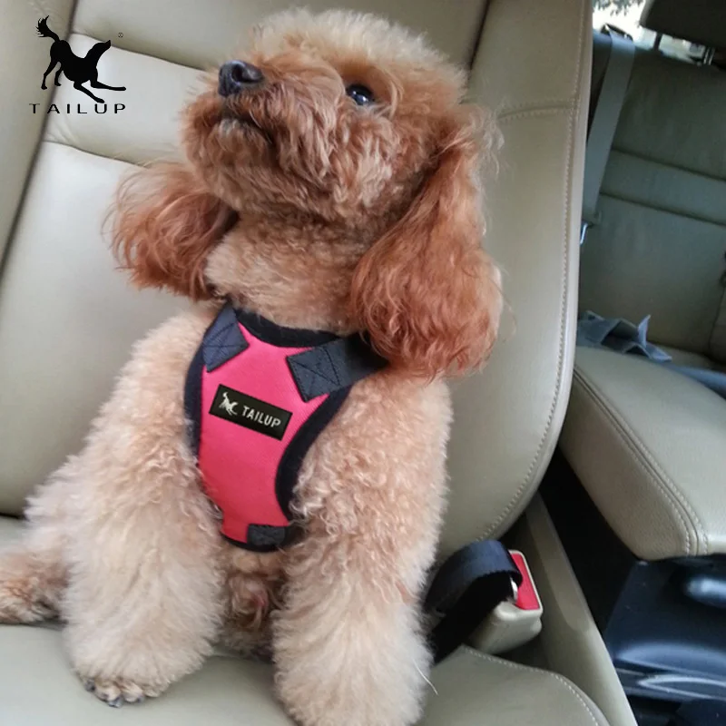 Dog Car Harness (6)