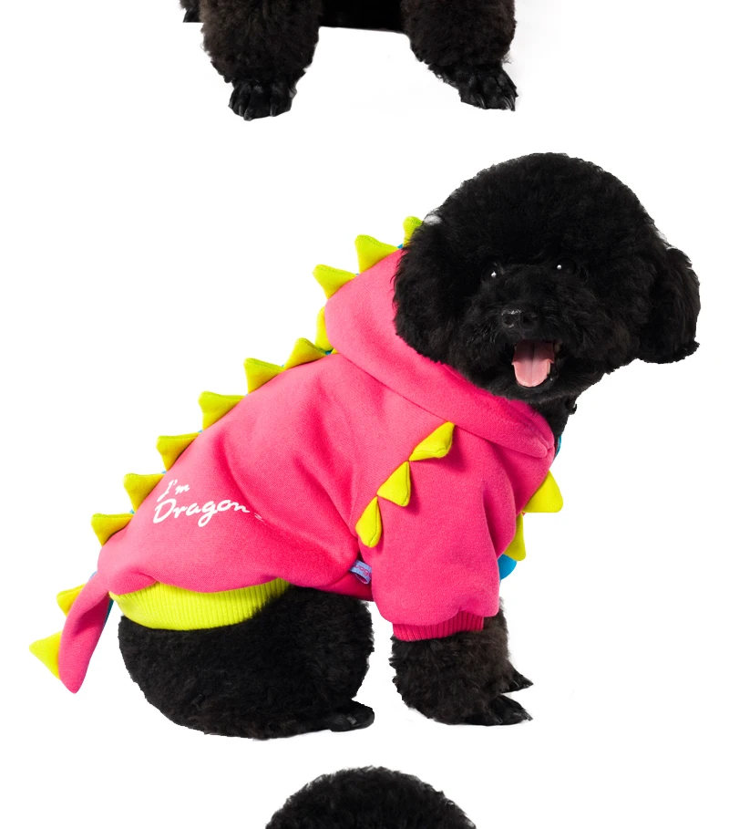 12 service dog 