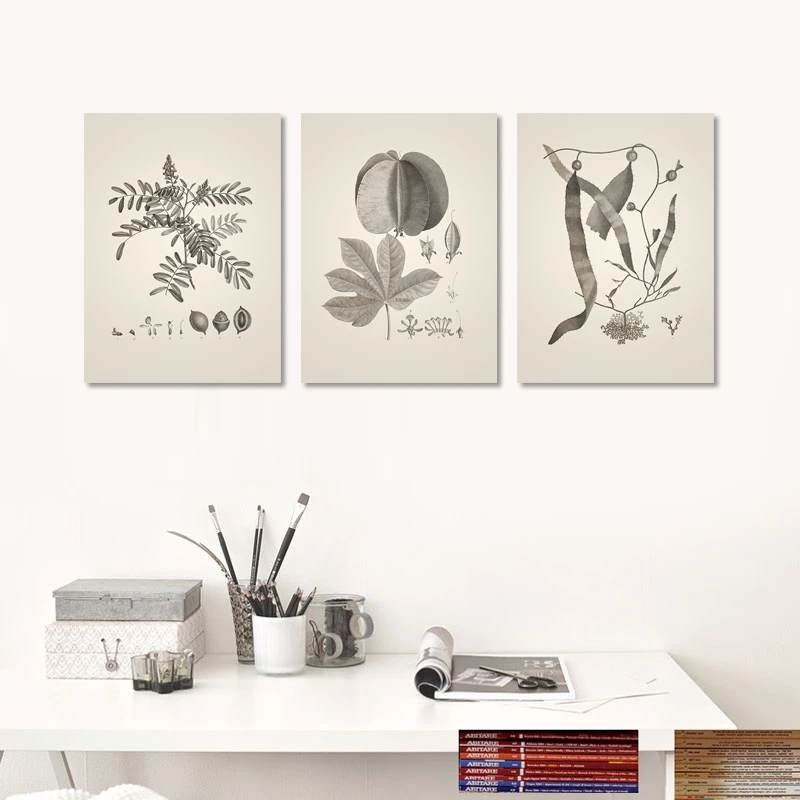 Wall Painting Abstract Plant Print 3pcs Sketch Fruits With Leaves Canvas Painting Wall Decor Atelier Hotels Restaurant No Frame Painting Abstract Wall Paintingpainting Wall Aliexpress