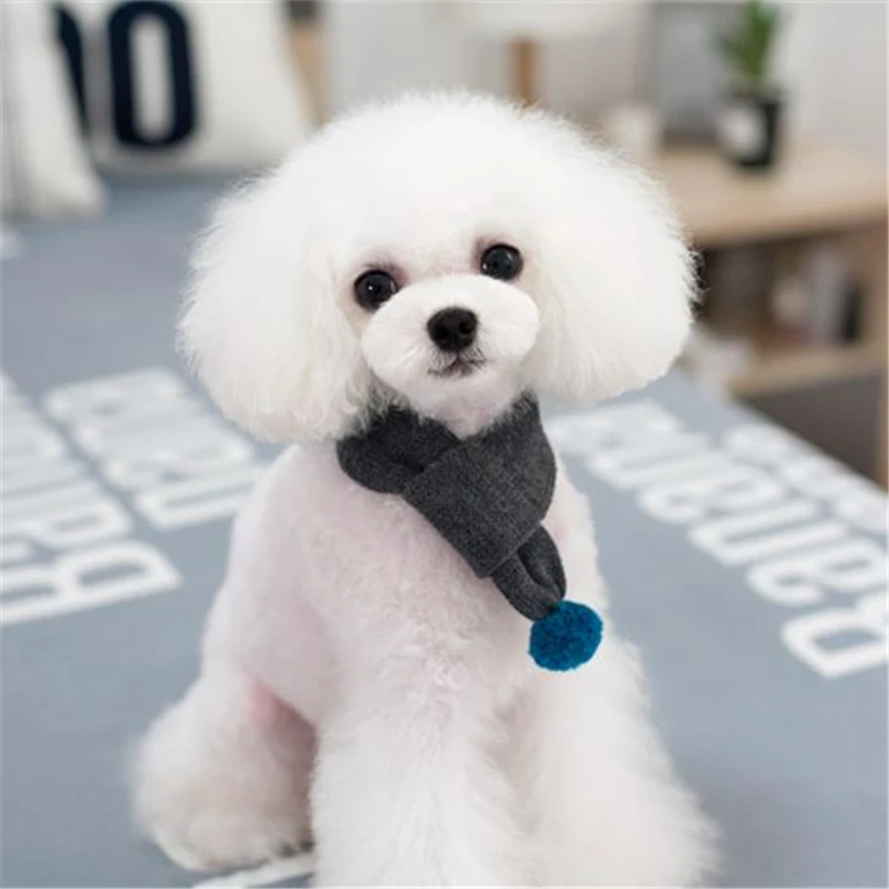 pets dogs accessories (10)