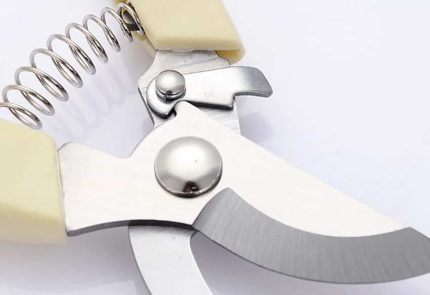 O1CN011Q1ZJHDep1Kf6Ne_!!2261571916