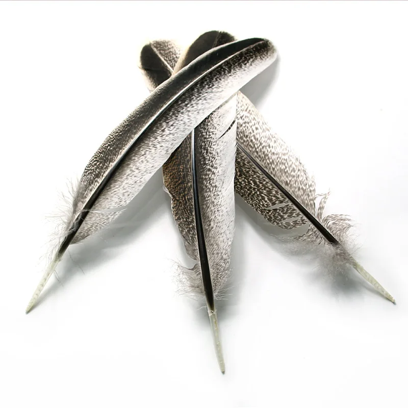 

50pcs/lot natural plumage 8-14 inch 20-35cm goose turkey feather plumes eagle feather