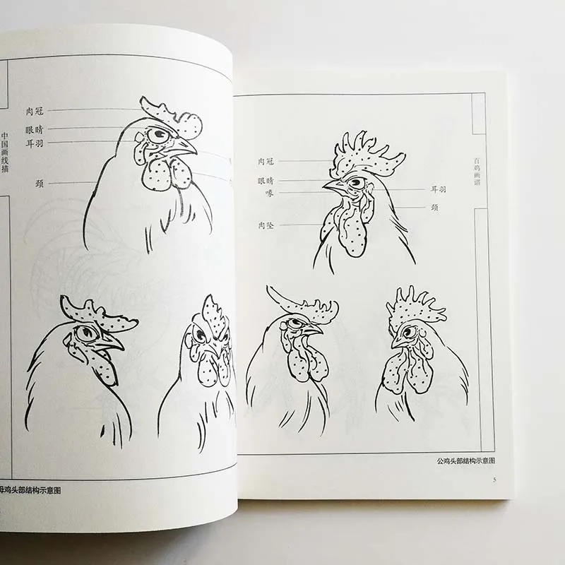 Книга для рисования сто петушков от Deng Wenxin раскраска взрослых книга расслабления