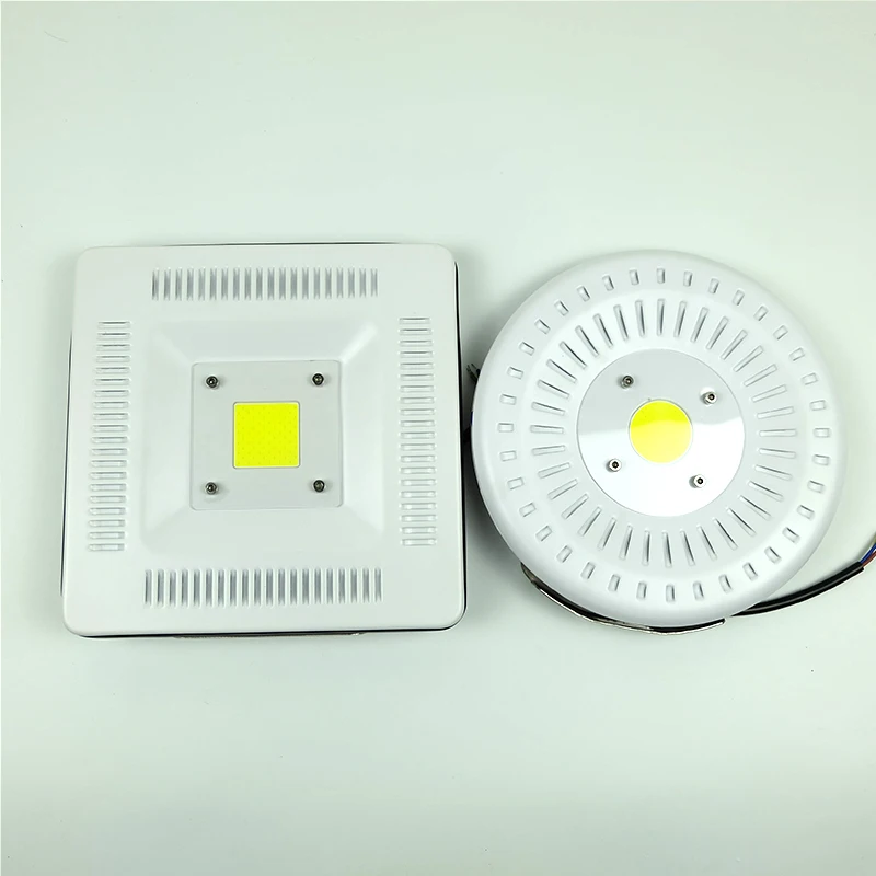 3718357808_306444615