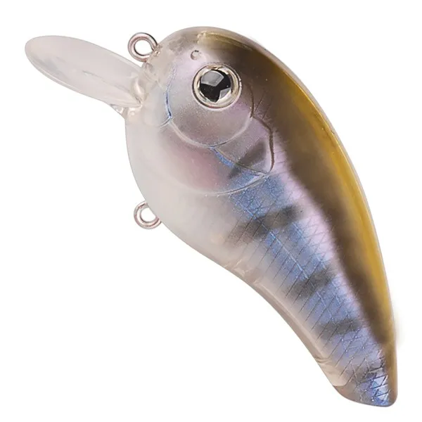 NF005