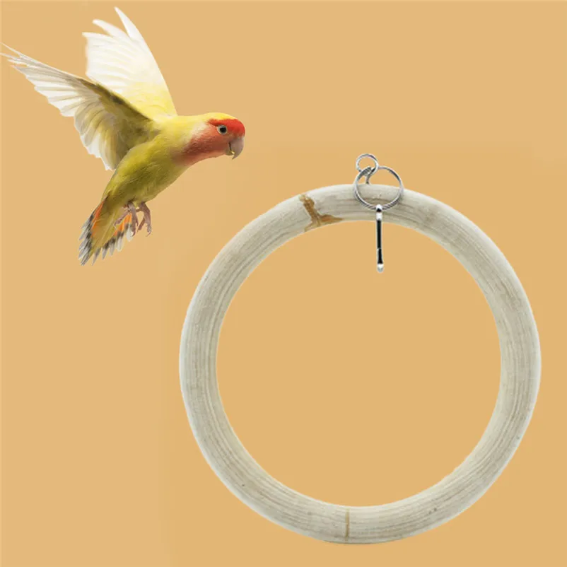 Parrot Supplies Bite Toy Swing Stand Stand Bar Climbing Ladder Bird Toys Swing bird bath productos de palomas D12 (6)