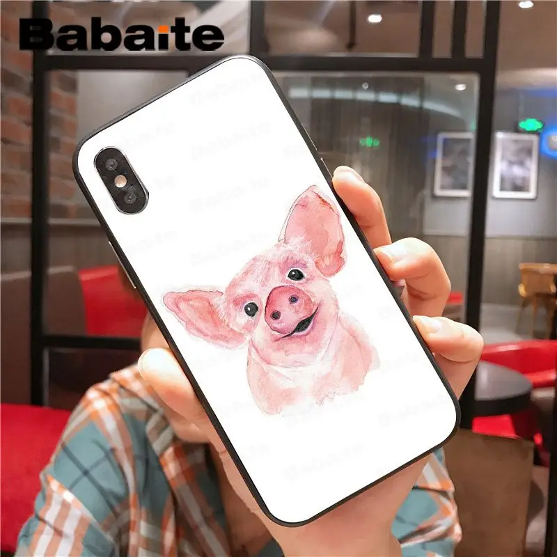 Cartoon Animal Pig