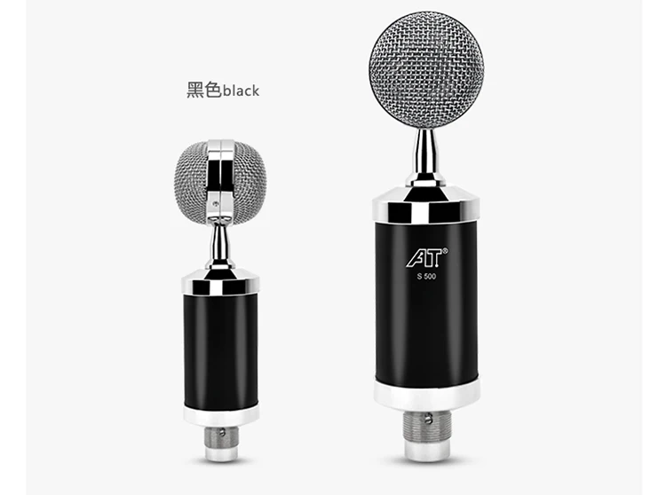 10-Single Microphone