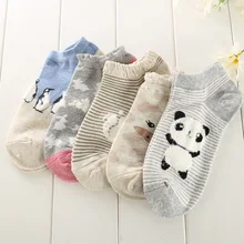 La MaxPa 10Pairs Panda Print Cute College Wind Simple Basic Fresh Hot selling Cotton socks for women in spring and summer k446