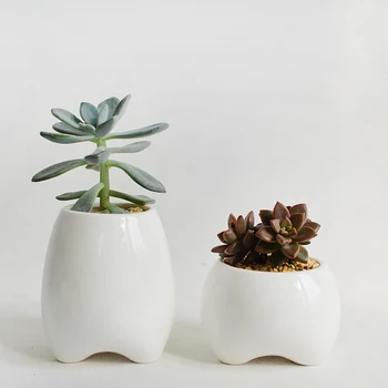 

Set of 2 Tooth Shape Flower Pots White Ceramic Planter Teeth Mini Desktop Succulent Planter pots (without plants)