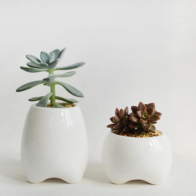 Set Of 2 Tooth Shape Flower Pots White Ceramic Planter Teeth Mini Set Of 2 Tooth Shape Flower Pots White Ceramic Planter Teeth Mini Desktop Succulent Without Plants