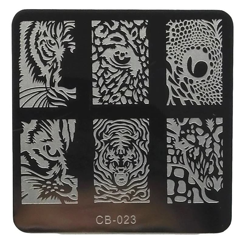 23