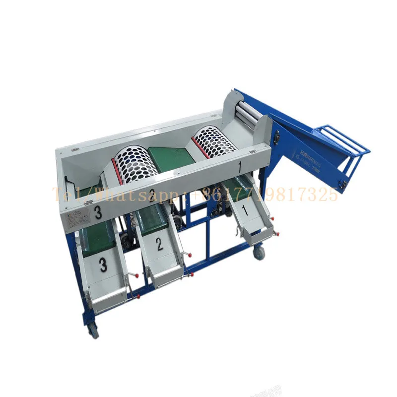 التلقائي الثوم لمبة فرز آلة الثوم البصل الدرجات آلة البصل الثوم لتصنيف آلة Food Processors Aliexpress