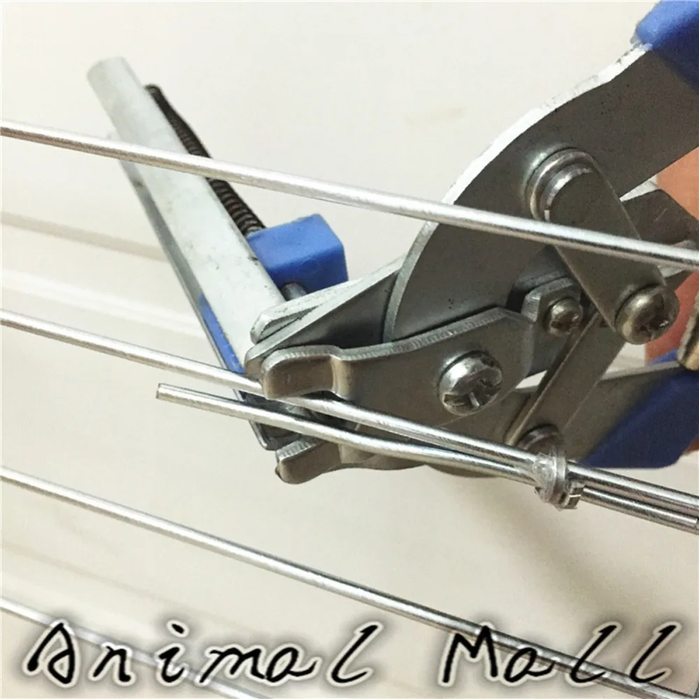 HTB1dxP8JXXXXXauXXXXq6xXFXXXY