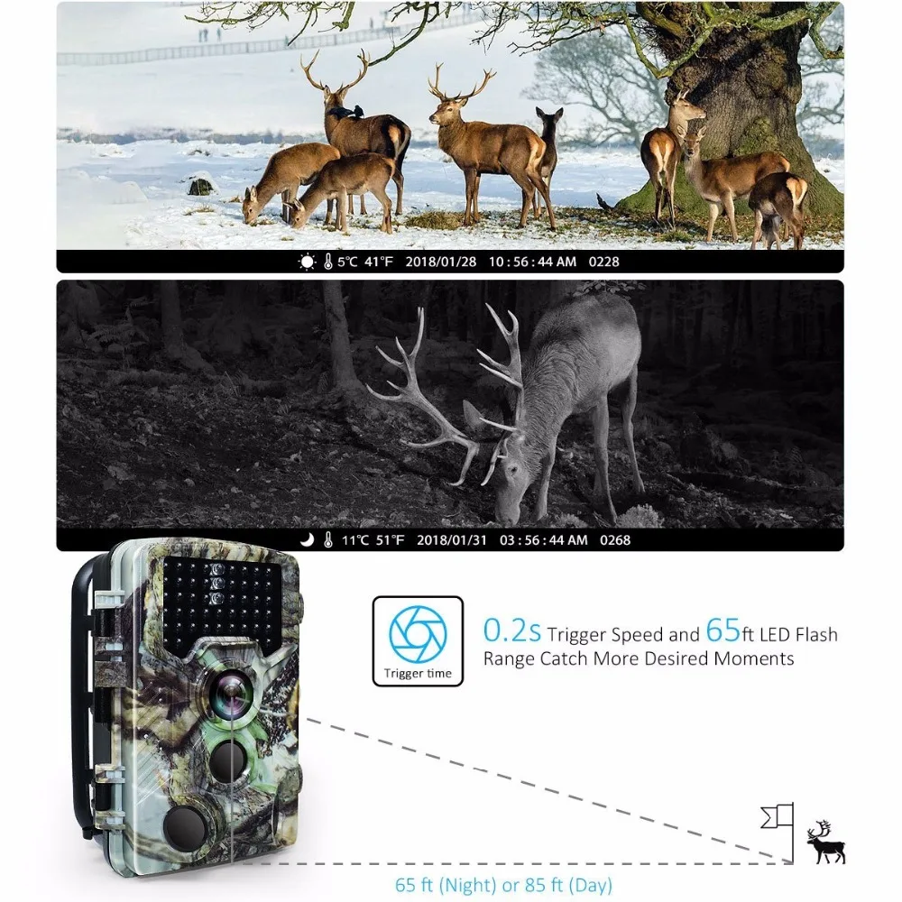 16MP Night vision 2.4LCD Hunting Wild Camera H881 Photo Trap 1080P IP56 Waterproof Infrared Trail camera 3