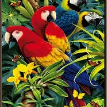 Живой mix-цветные попугаев в траве печатных DIY цифровой живописи маслом по номерам мода ручная роспись без Рамки 40x50 см