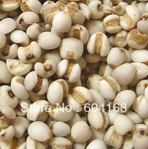 

Yiyiren/ Herbal tea/ Traditional Chinese green tea   500G Free Shipping tea