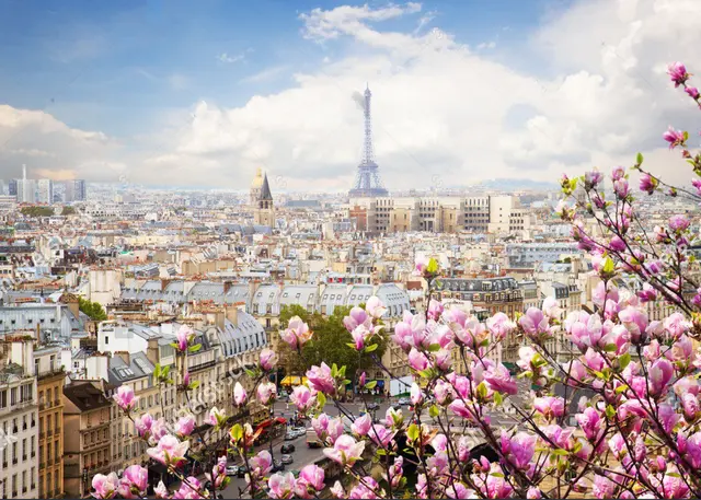 paris france city skyline clouds eiffel tower spring pink flower