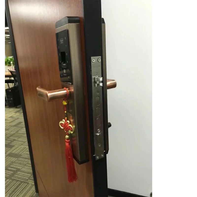  RAYKUBE Fingerprint Lock For Home Anti-theft Door Lock Keyless Smart Lock With Digital Password RFI - 32846716164