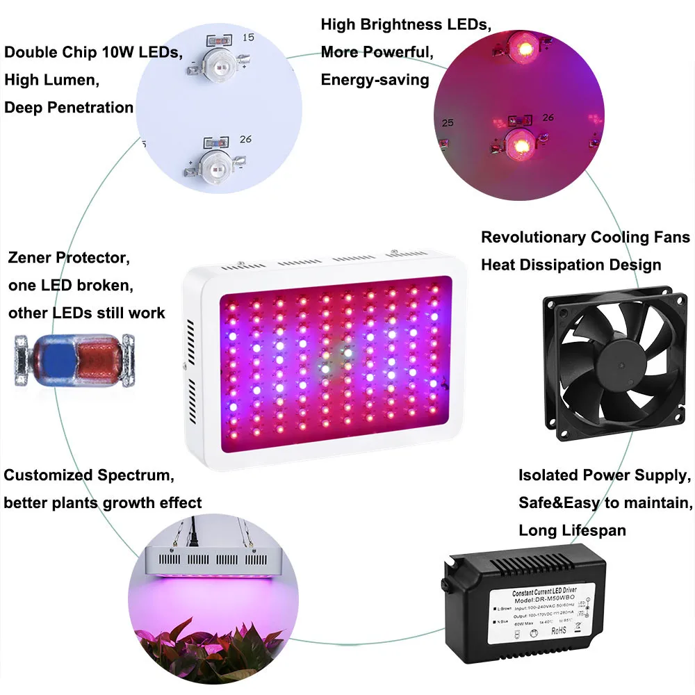 Full Spectrum LED Grow Lights 1000W High Power Double Chip 10W for Medical Plants Veg and Flowering by HYBER GROW
