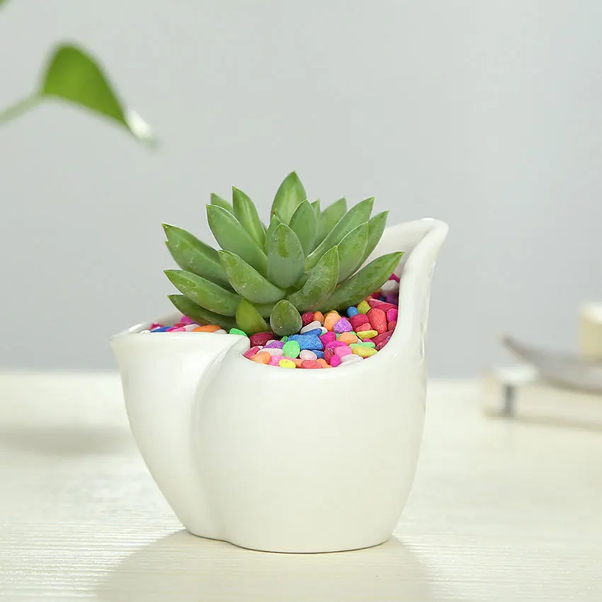 White Mini Ceramic Pots Flower Pot Simple Style Succulent ...