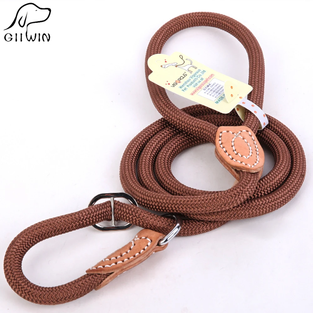 dog leash 2