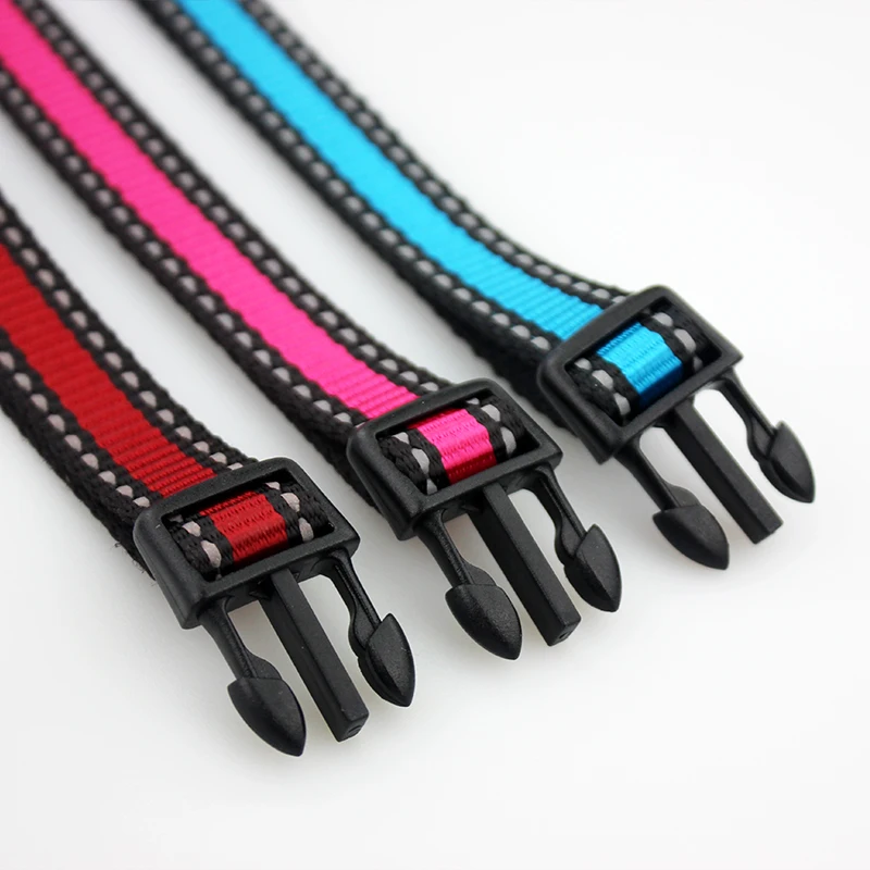 dog collar 4