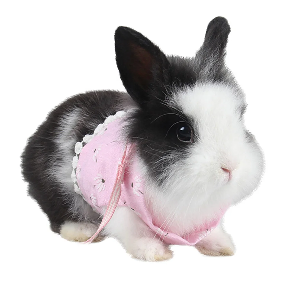 Cute Guinea Pig Rabbit Harness and Leash Small Animals Clothes Dress
