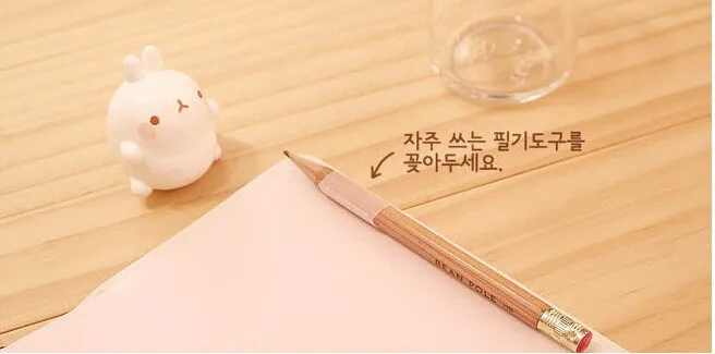 2015-2016 Cute Kawaii Notebook Cartoon Molang Rabbit Journal  Diary Planner Notepad for Kids Gift Korean Stationery27