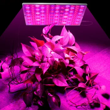 Growing lamps led grow light 25w 45w ac85-265v full spectrum plant lighting fitolampy for plants flowers seedling cultivation