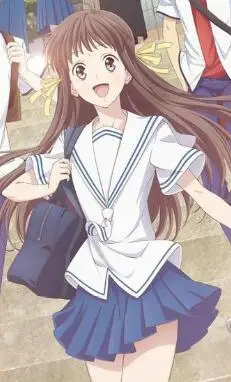 HTB1v0LcP9zqK1RjSZFjq6zlCFXaT - Fruits Basket Shop