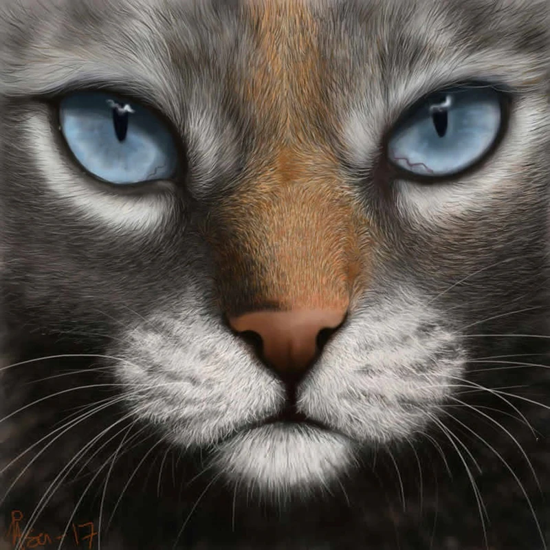 

Kitten Eyes 5D Diy Full Diamond Painting Cat Head Pet 3D Photo Cross Stitch Embroidery Rhinestone Gift Pearl Mosaic Decoration