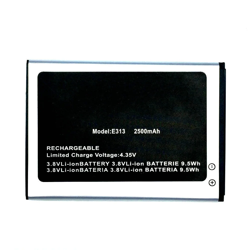 E313 (3)