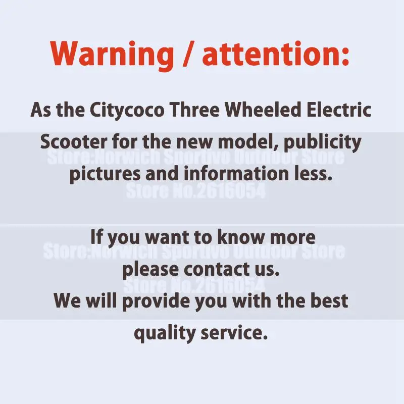 Flash Deal Citycoco Trike Electric Scooter Fat Tire Three Wheeled Adult Tricycle City 2017 Newest 60V 1000W Lithium Battery Adult E-Bike 10