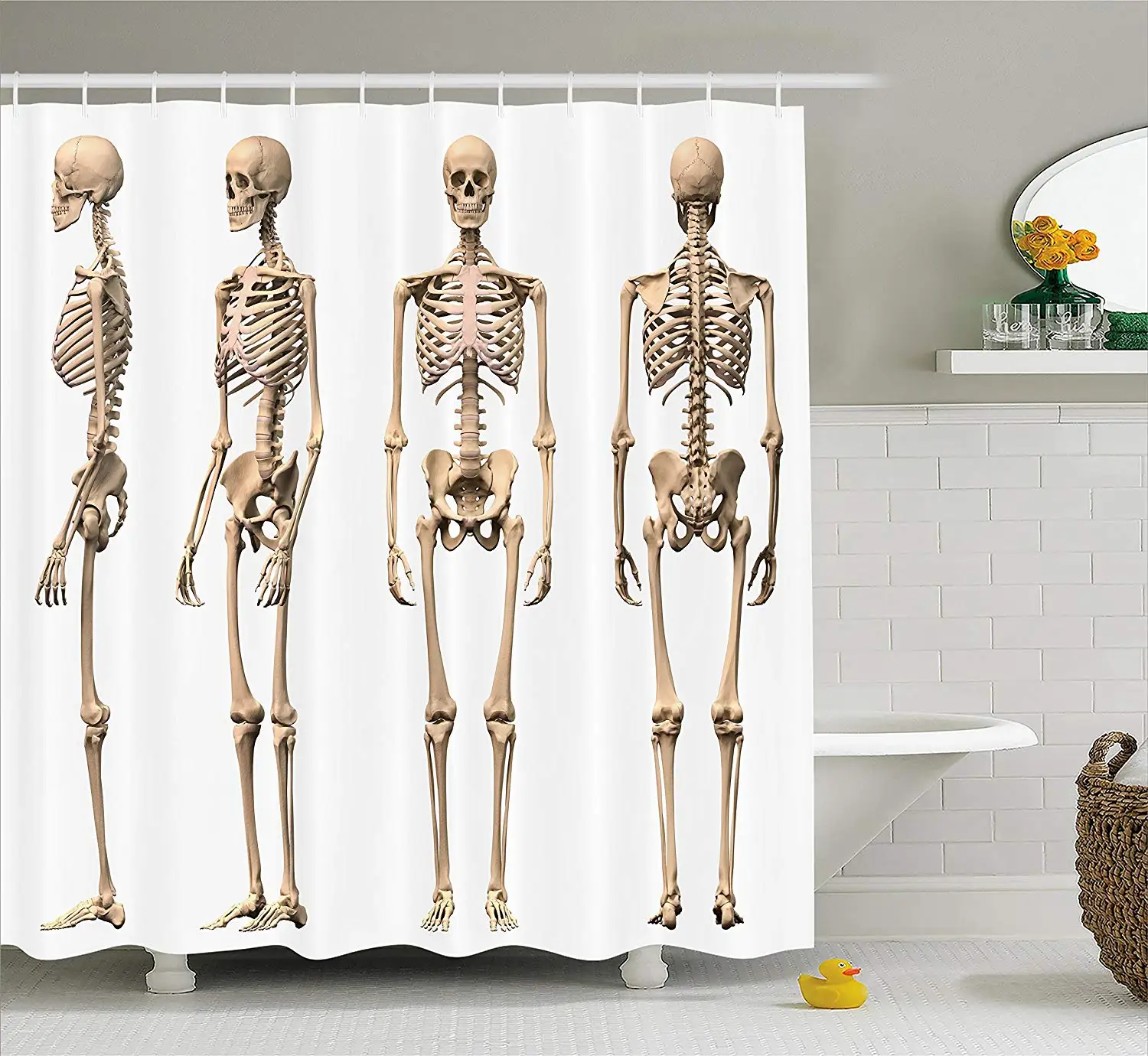 

Human Anatomy Shower Curtain Man Male Skeleton Skull Different Perspectives Medical Humor Illustration Fabric Bathroom Set Cream