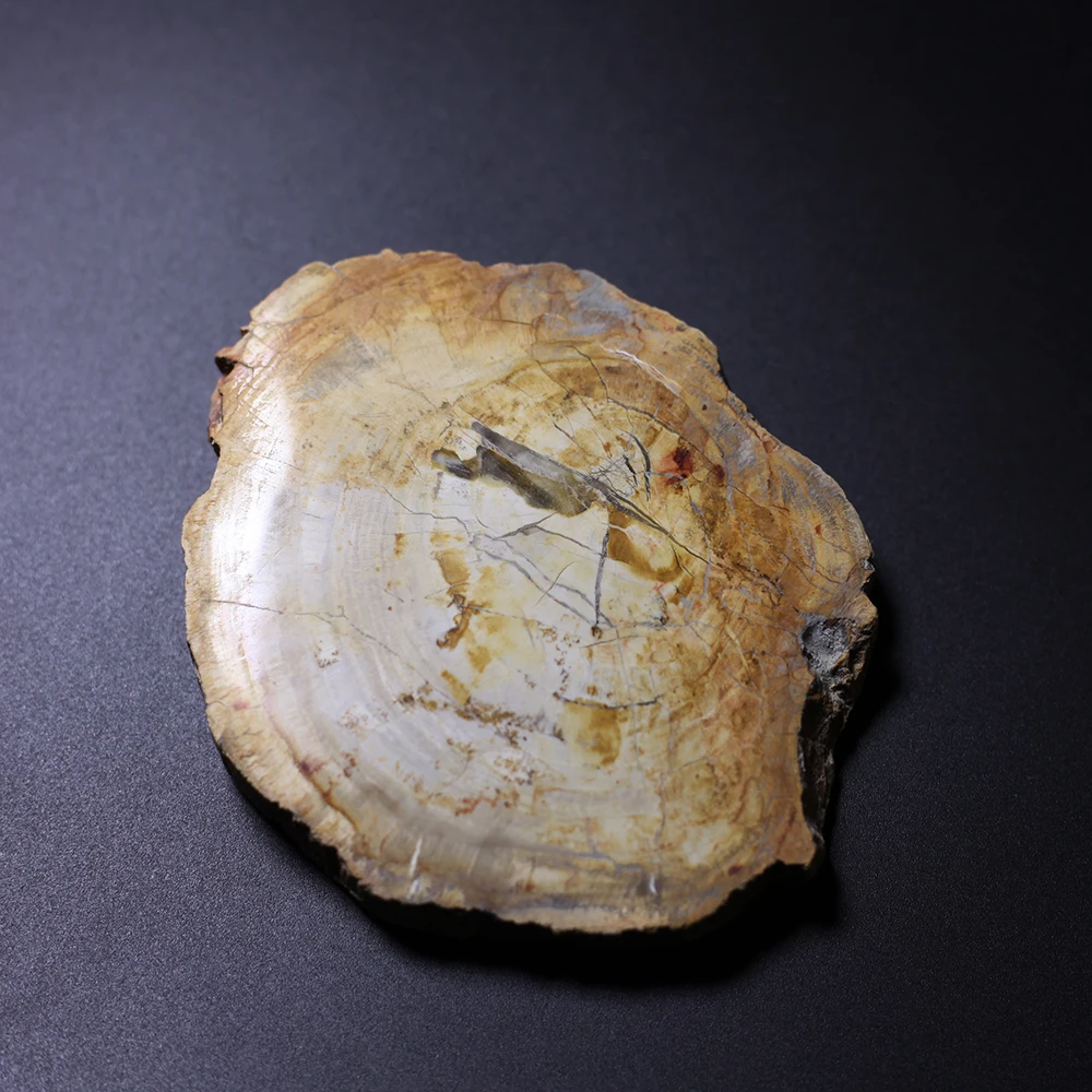 

Fine Mineral samples NATURAL Wood fossil Crystal Specimens Rock