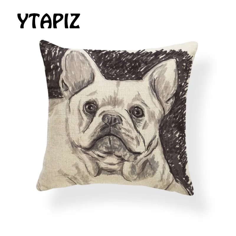 AB9166 (15)  French Bulldogs