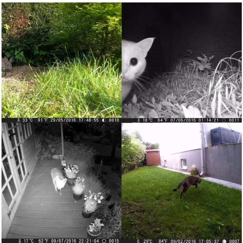 QQ20180904151651_conew1