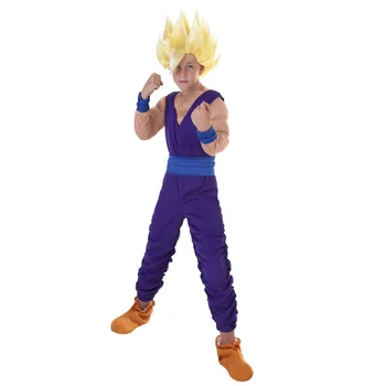 

Child Gohan Anime Cosplay Costume Mighty Warrior From Dragon Ball Z Kids Signature Purple Fighting Gear