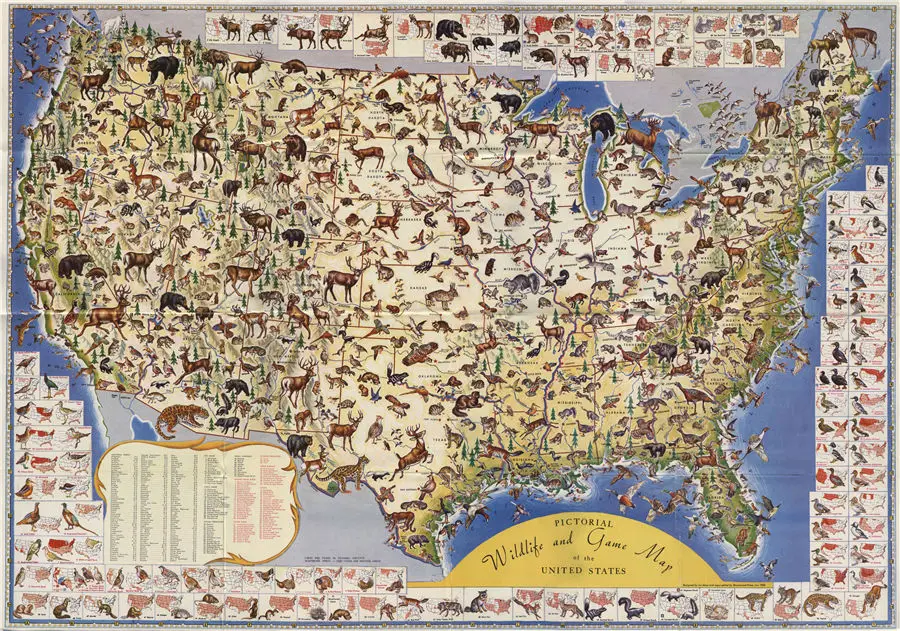 United-States-Illustrated-Wildlife-Map