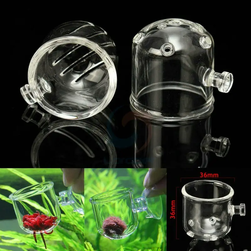 

Aquarium tank glass fish feeding Feeder Worm Blood Feeder Snail Trap Planarian Leech Catch