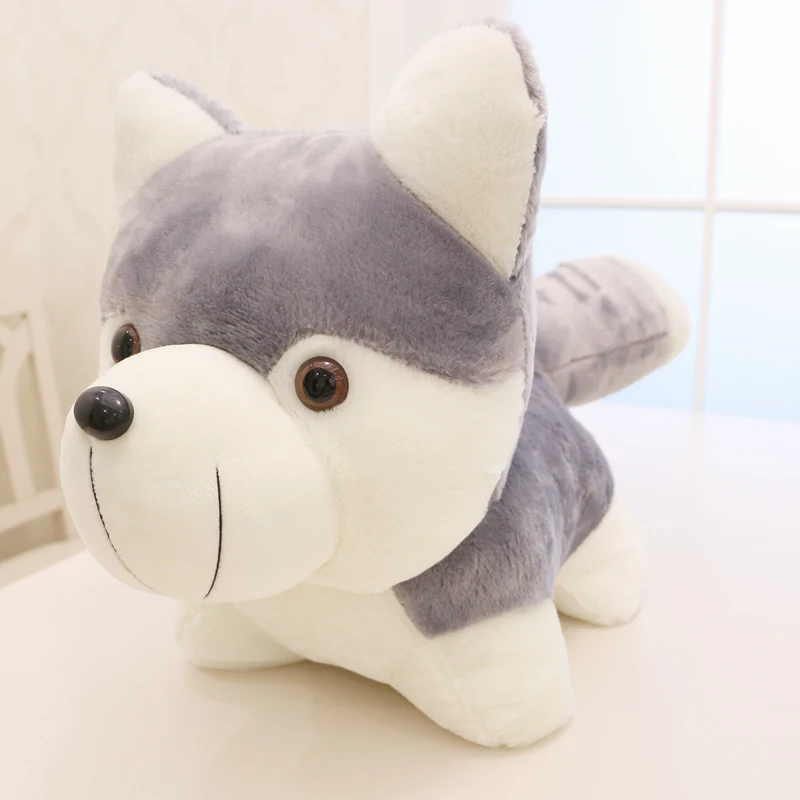 cute husky doll plush toy dog toys children's day birthday gift deco DY50689 (8)