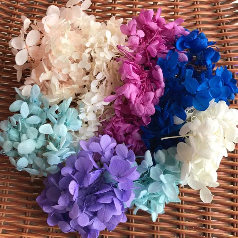 9boxes,Long Time Lasting Natural Fresh Preserved Flowers Dried Hydrangea Flower Head For IY Real Eternal Life Flowers Material