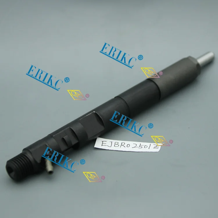 EJBR02501D common rail injector delphi EJBR0 2501D and EJBR 02501D (9)